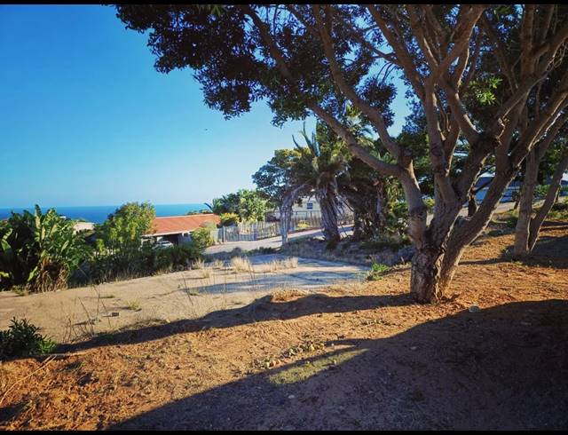 893M² VACANT LAND FOR SALE IN DANA BAY